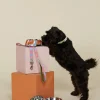 Donna Pet Bowl S