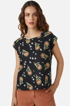 Protea Top