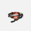 Renee Pet Lead Small
