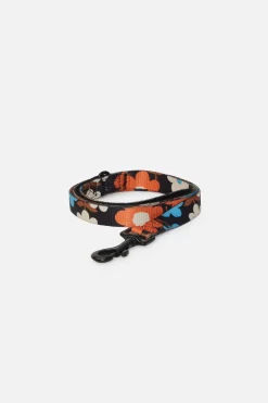 Renee Pet Lead Small