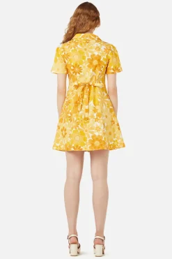 Willow Shirt Dress
